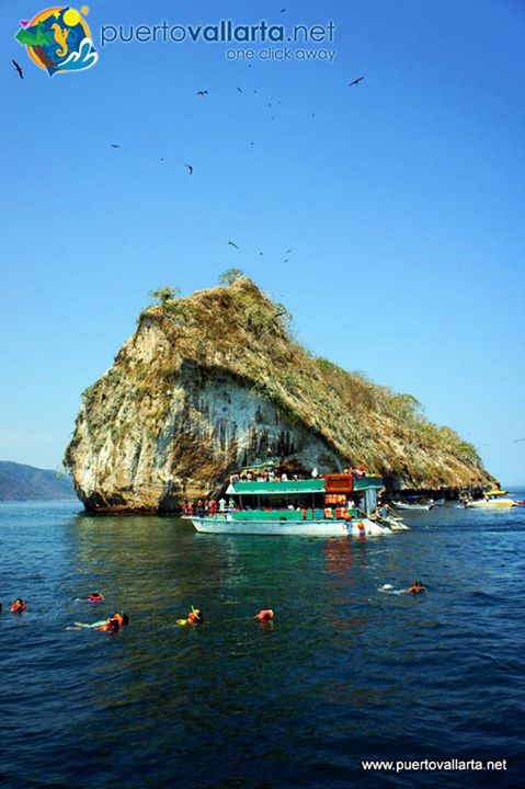 tumblr_mz8oyzyA6b1qa39tbo1_500