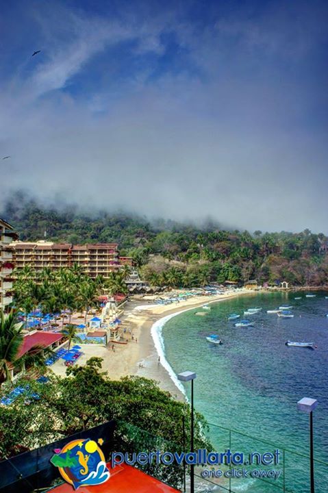 tumblr_mzlmtc1KVo1qa39tbo1_500