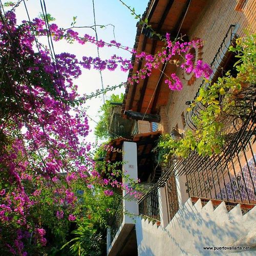 tumblr_n0ipn12NMo1qa39tbo1_500