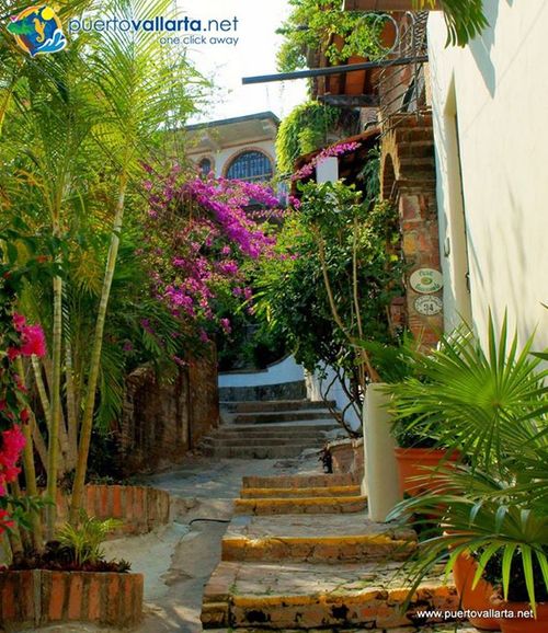 tumblr_n1e7sqYjnW1qa39tbo1_500