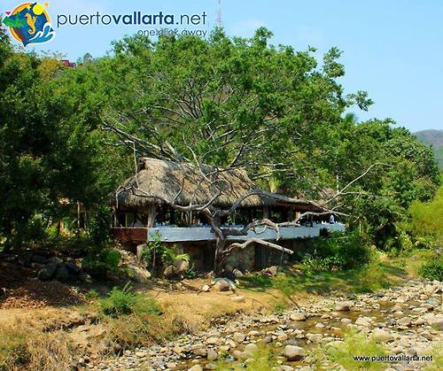 tumblr_n72rco1WFW1qa39tbo1_500