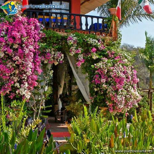 tumblr_nanz0500N71qa39tbo1_500