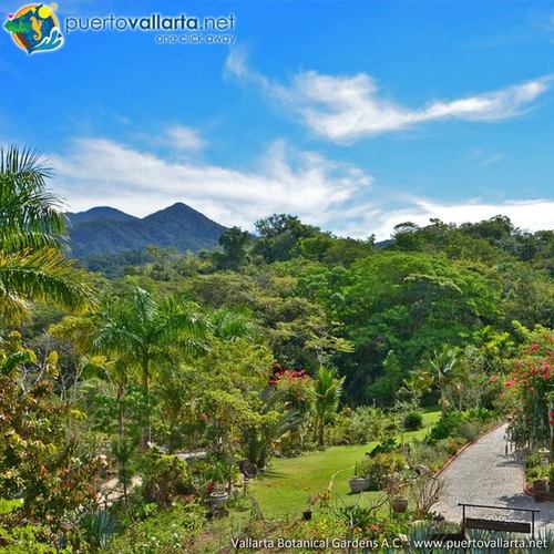 tumblr_naro8s2ud51qa39tbo1_500