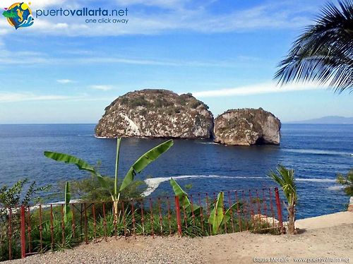 tumblr_nbhdyuD5SL1qa39tbo1_500