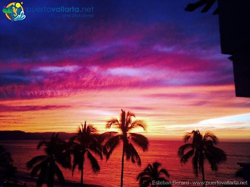 tumblr_nftj5hE5Lz1qa39tbo1_500