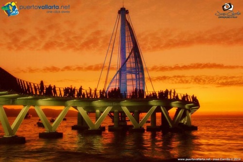 tumblr_ng4s6m9r6Z1qa39tbo1_500