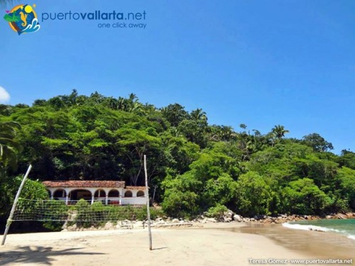 tumblr_ng5ziefy7N1qa39tbo1_500