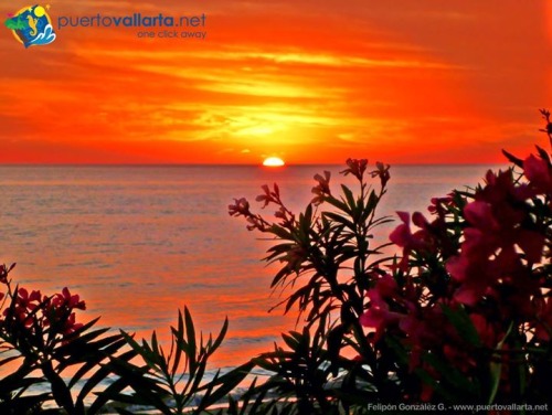 tumblr_ngdqlqZ6a21qa39tbo1_500