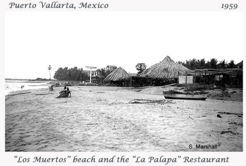 tumblr_ngfrnvtP8K1qa39tbo1_500