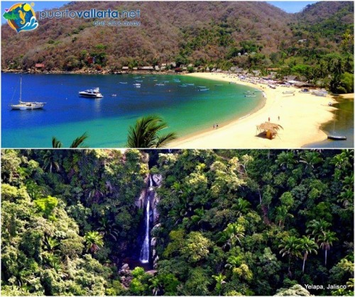 tumblr_nh9bnpgTwS1qa39tbo1_500