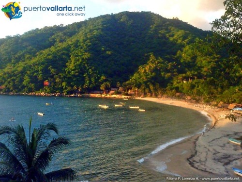 tumblr_nhggo3cknF1qa39tbo1_500