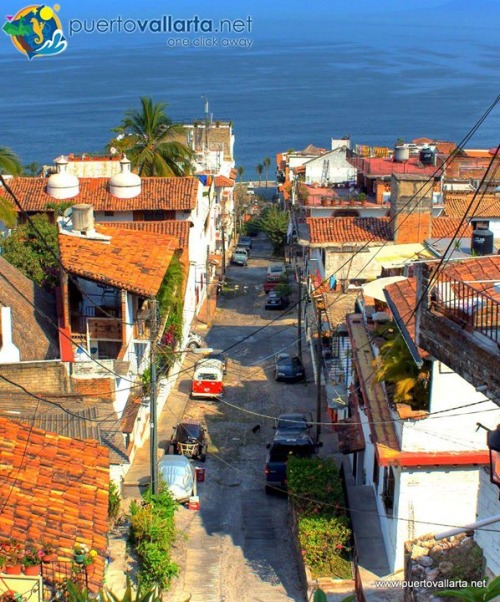 tumblr_nimuan0q581qa39tbo1_500