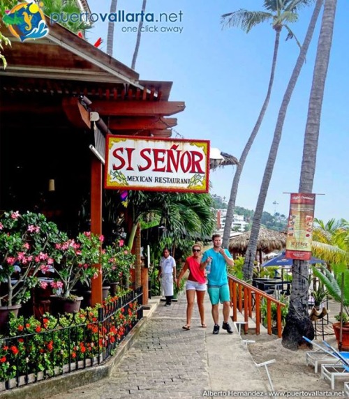 tumblr_nj94alH0Sy1qa39tbo1_500