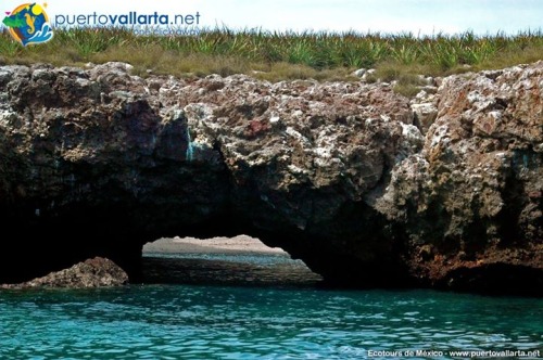 tumblr_njrtubPzup1qa39tbo1_500