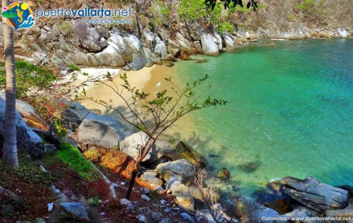 tumblr_nk4kh83eEs1qa39tbo1_500