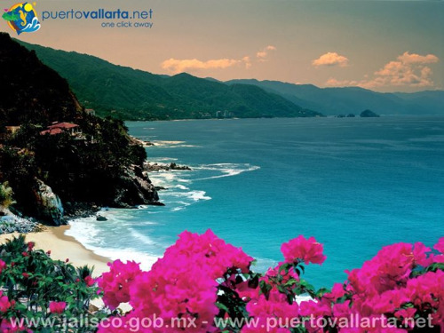 tumblr_nkuijjJMGI1qa39tbo1_500