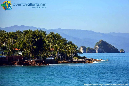 tumblr_nl01kc1V6G1qa39tbo1_500