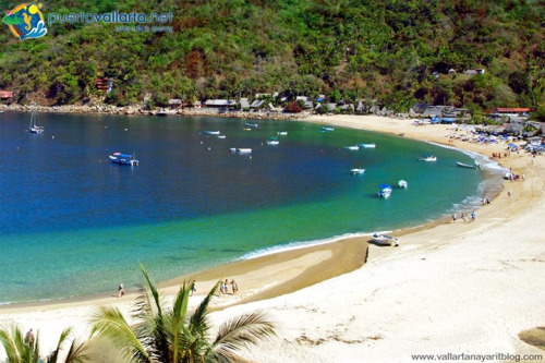 tumblr_nlh6282HO51qa39tbo1_500