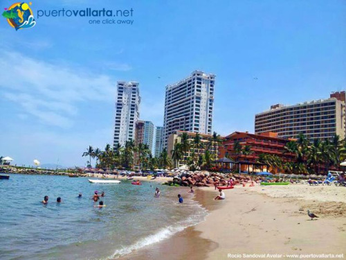 tumblr_nlq7rkJx811qa39tbo1_500