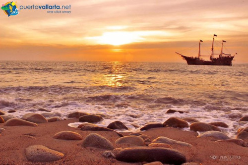 tumblr_nmk7ijB5lv1qa39tbo1_500