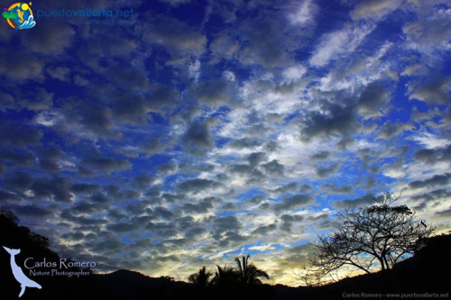 tumblr_nmqx1dDnyu1qa39tbo1_500