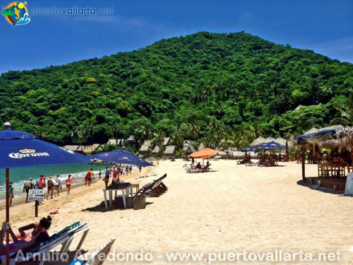 tumblr_npujn8pZfn1qa39tbo1_500