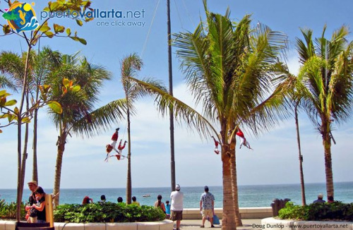 tumblr_nqie04w3ZN1qa39tbo1_500