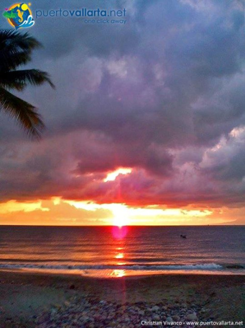 tumblr_nqie066kLb1qa39tbo1_500