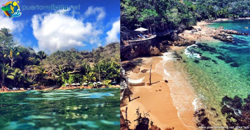 tumblr_nr2m6eoBPP1qa39tbo1_500