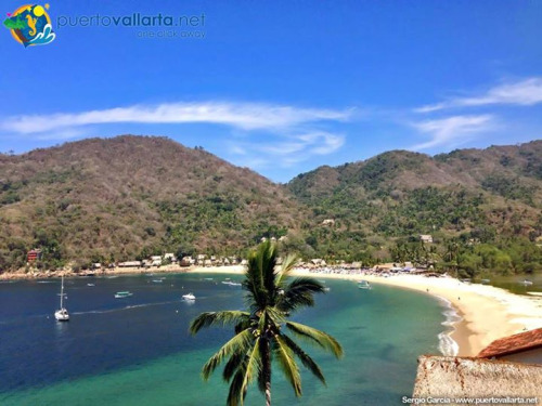 tumblr_nrhb9dUqRP1qa39tbo1_500