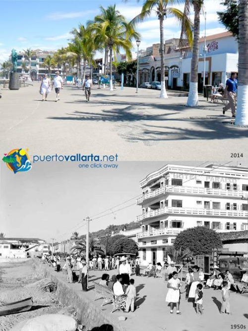 tumblr_nsmwnpMHTw1qa39tbo1_500