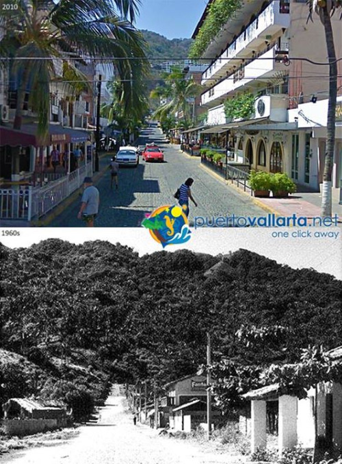 tumblr_nsw5k6H0Ll1qa39tbo1_500