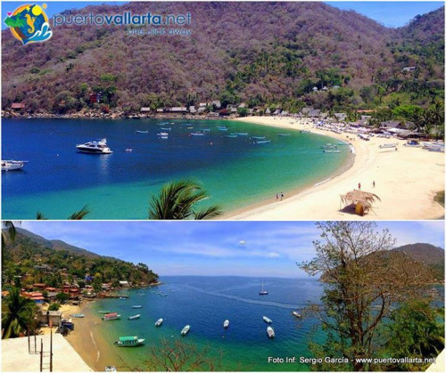 tumblr_ntazfePTYY1qa39tbo1_500