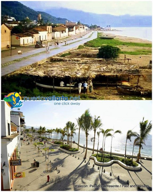 tumblr_ntjgox3Lv81qa39tbo1_500