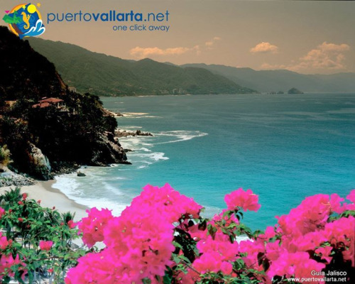 tumblr_ntv3jrKYgR1qa39tbo1_500