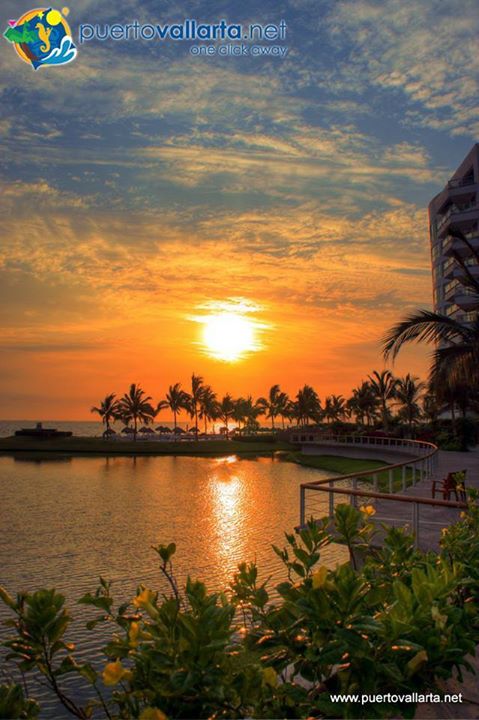 tumblr_ntyivpJXLI1qa39tbo1_500