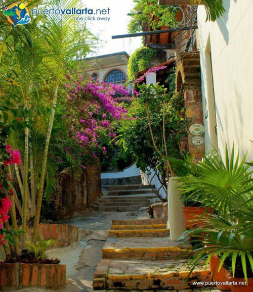 tumblr_nu0mw8UUV31qa39tbo1_500