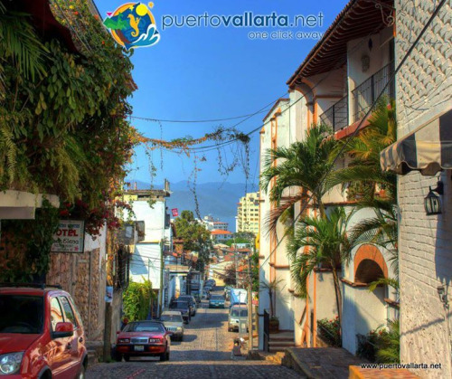 tumblr_nul9y56CzK1qa39tbo1_500