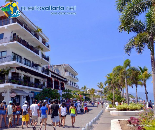 tumblr_nun4przptt1qa39tbo1_500