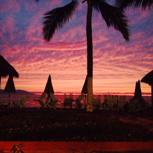 tumblr_njw6lmh6B71sj0ieqo1_500