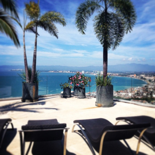 tumblr_njyd5jcvT91sj0ieqo1_500