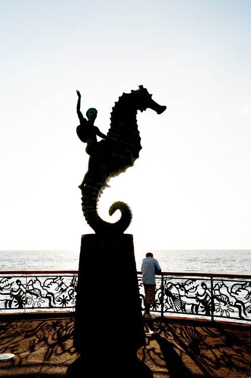 tumblr_nn5zhdRhB91utc5xro1_500