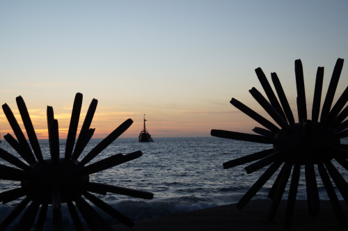 tumblr_nngyv5Bhju1utc5xro1_500