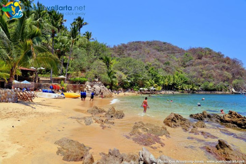 tumblr_nvhti64ZHY1qa39tbo1_500