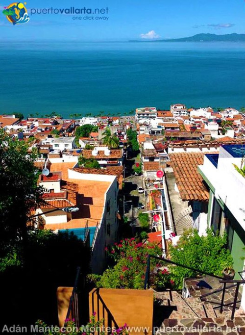 tumblr_nwa4kx9YHl1qa39tbo1_500