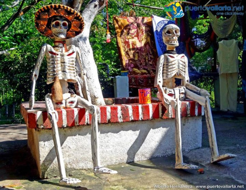 tumblr_nwbdwfDIIn1qa39tbo1_500