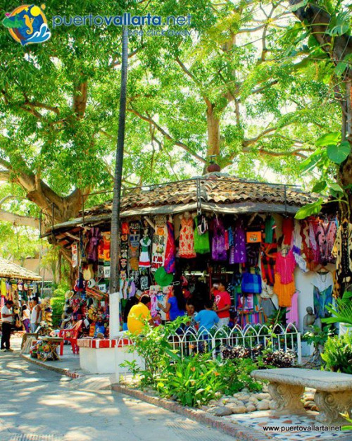 tumblr_nwsn6pnkiI1qa39tbo1_500