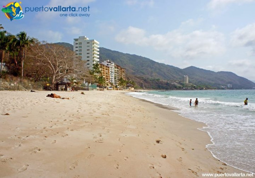 tumblr_nx53nkwmy01qa39tbo1_500