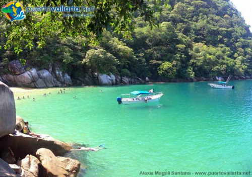 tumblr_nx9a459MCt1qa39tbo1_500