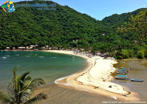 tumblr_nxt515v0tU1qa39tbo1_500